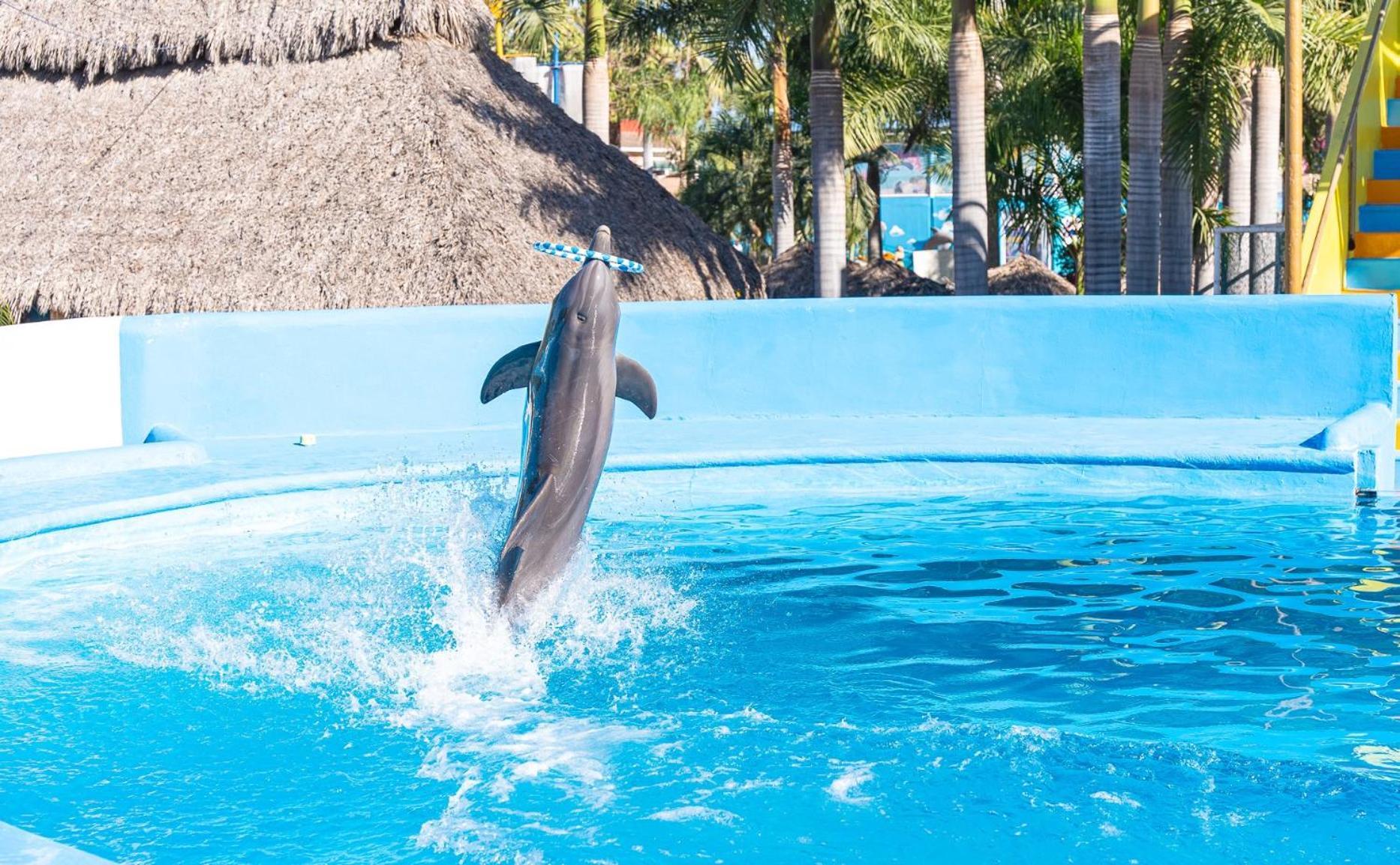 Splash Inn Nuevo Vallarta & Parque Acuatico Exterior photo